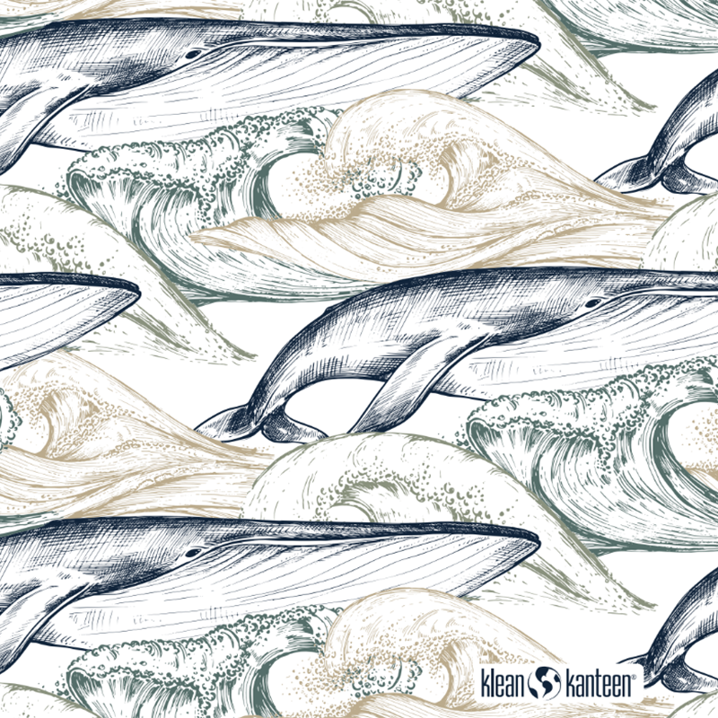 20oz-tkwide-with-twist-cap-ocean-day-x2 20oz_tkwide_bottle_seasonal_ocean_day_whale_artwork_square.png