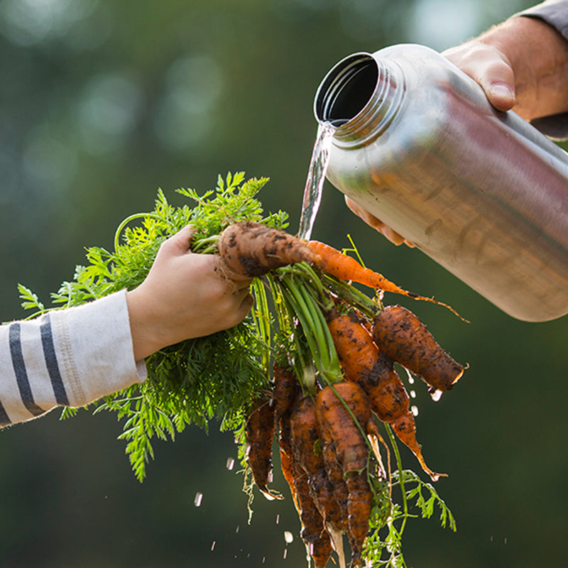 64oz-wide-with-loop-cap-u2 64oz_wide_mouth_bottle_carrots_rinse_square.jpg